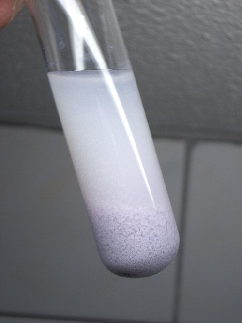 precipitate in test tube