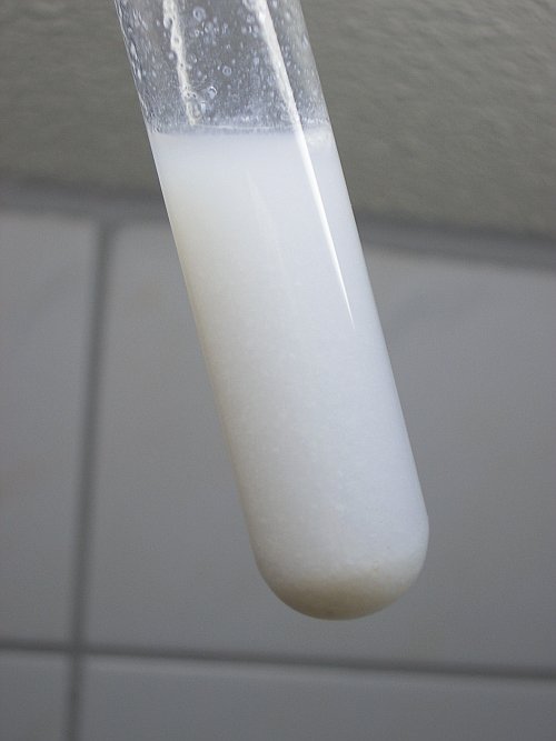 precipitate in test tube